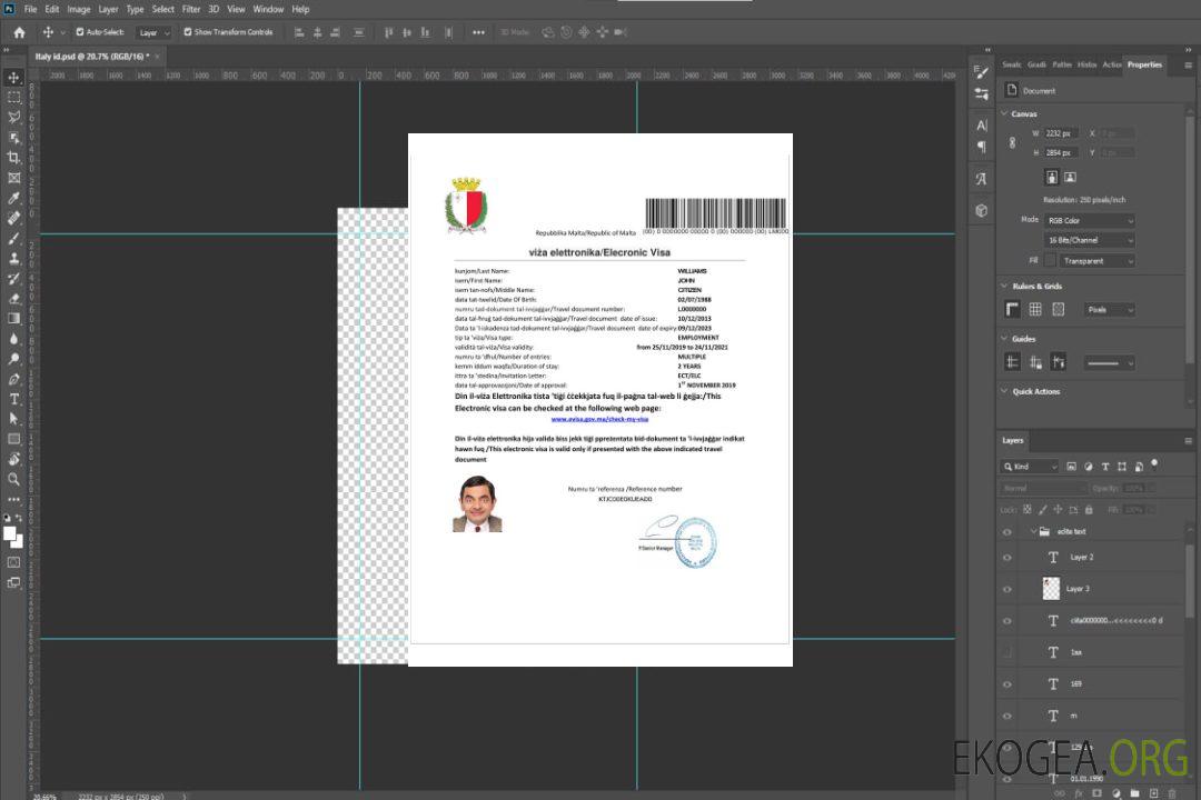 Visa électronique pour MALTE template Visa électronique pour MALTE template